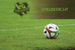 spielbericht_standard